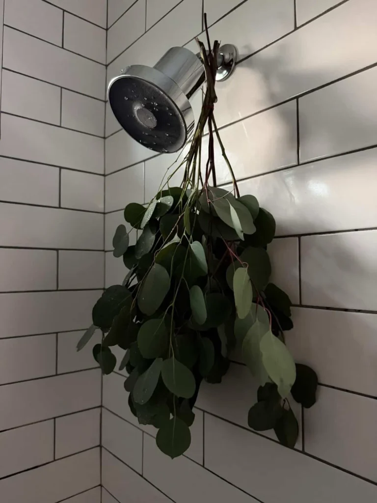 Cozy Bathroom Ideas