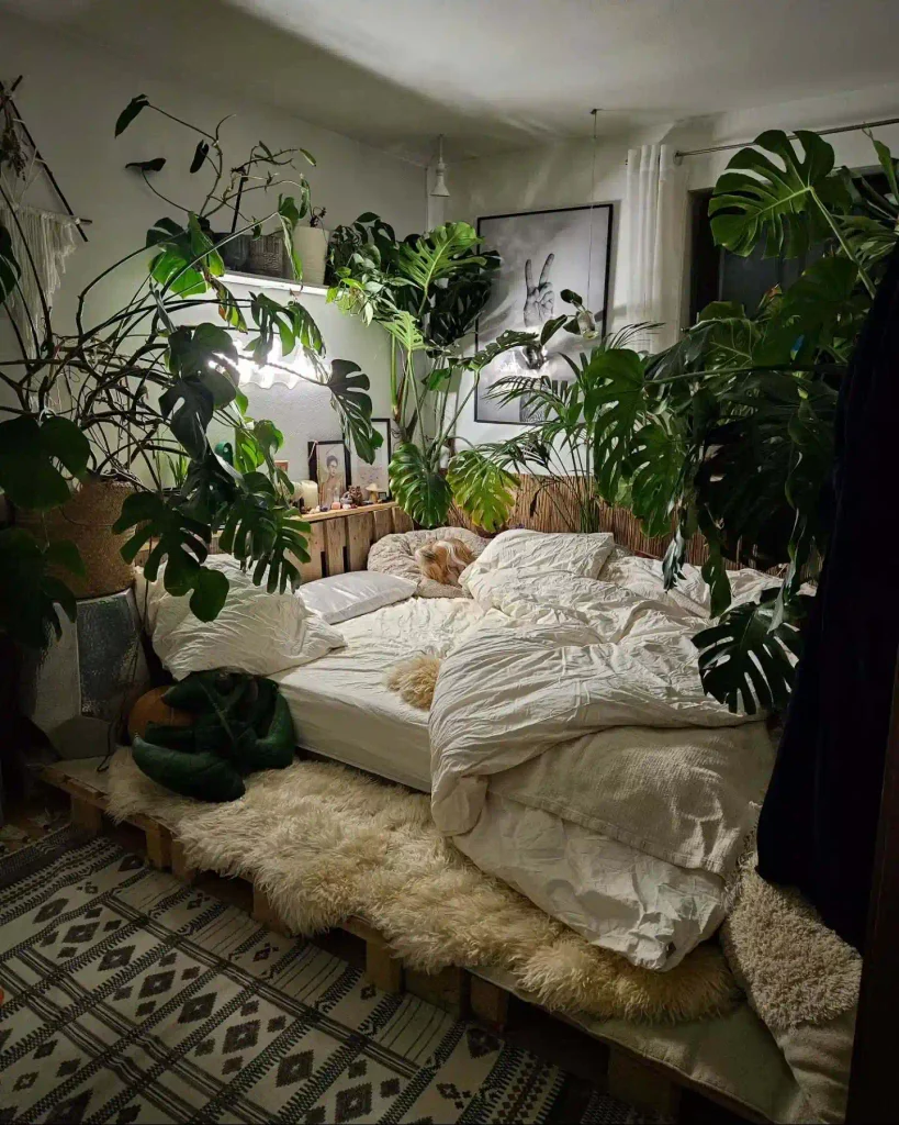 Bedroom Plant Ideas