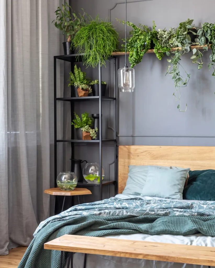 Bedroom Plant Ideas